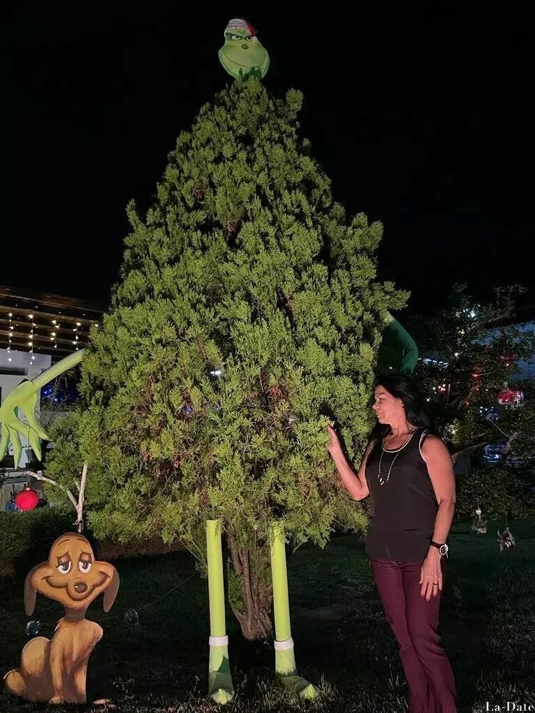 Yamir Profile image 3