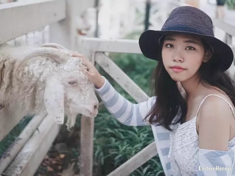 Meeyawadee Profile image 5