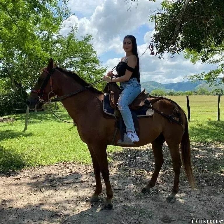 Sofia Profile image 1