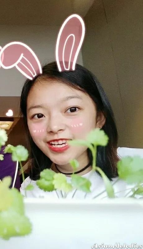 Xinlin Profile image 2